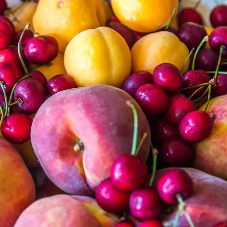 Alloggio per agriturismo Fiori D'arancio *